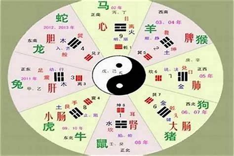 哲字五行|哲字的五行属性